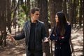 Episode 3.18 - The Murder of One - Promotional Photos - the-vampire-diaries-tv-show photo
