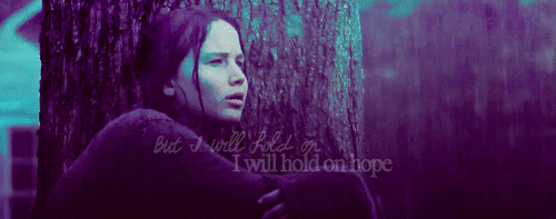  Katniss Everdeen-Fan Art