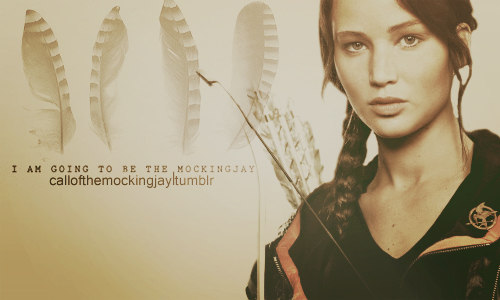  Katniss Everdeen 粉丝 Arts