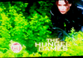 Katniss - the-hunger-games fan art