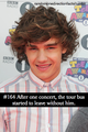 Liam Payne's Facts♥ - liam-payne photo