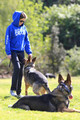 Nikki Reed & Paul McDonald out with their German Shepherds in a park in Hollywood - March 7, 2012. - nikki-reed photo