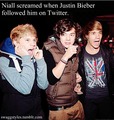 OneDirectionFacts♥ - one-direction photo