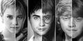 The Trio: Now and Then - harry-potter photo