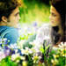 The Twilight Series - twilight-series icon