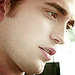 The Twilight Series - twilight-series icon