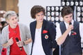 1D performing on the "Today Show" :) - harry-styles photo