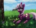 Cherilee - my-little-pony-friendship-is-magic fan art