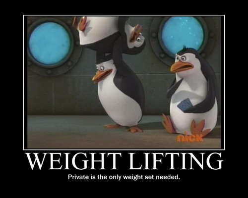  How do you lift an entire pinguim into the air?