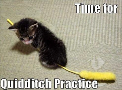 Quiditch Practice