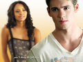 the-vampire-diaries-tv-show - can't deny the feelings wallpaper