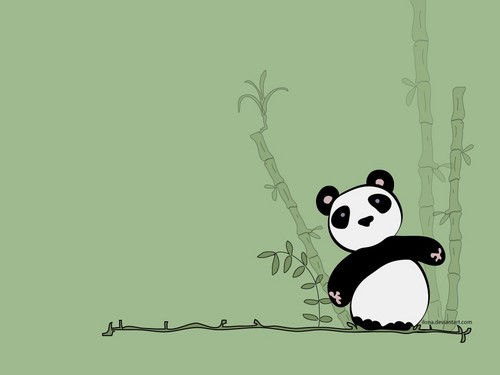  panda پیپر وال