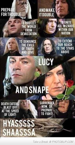 ★ Snape & Lucy ☆