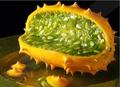 Horned Cucumber - food photo