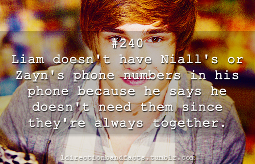  Liam's Facts♥♥♥