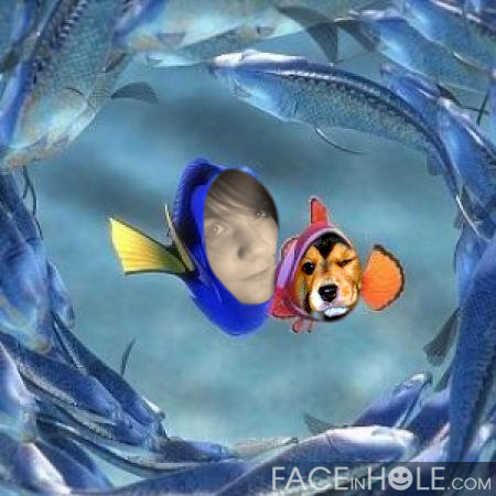 Nemo!!! :o