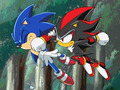 SONIC THIS IS WHAT YOU GET FOR SAYING I WEAR MAKE-UP!!! - shadow-the-hedgehog photo