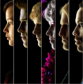 The Hunger Games characters - the-hunger-games photo