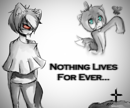 .:Nothing Lives For Ever:. Round 2