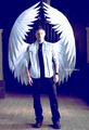 Angel Dean - supernatural fan art