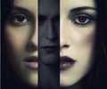Awesome Images - twilight-series photo