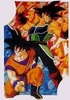  Bardock and Goku