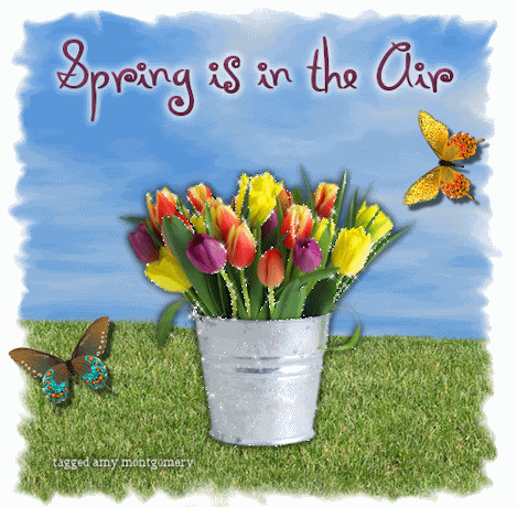  Happy Spring Everyone!