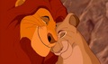 Lion King - disney-parents photo