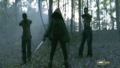 Michonne  - the-walking-dead photo