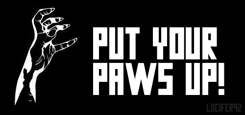  Put Your Paws Up