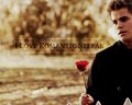 Romantic Stefan - stefan-salvatore fan art