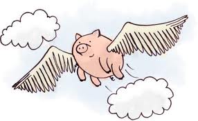  flying pig