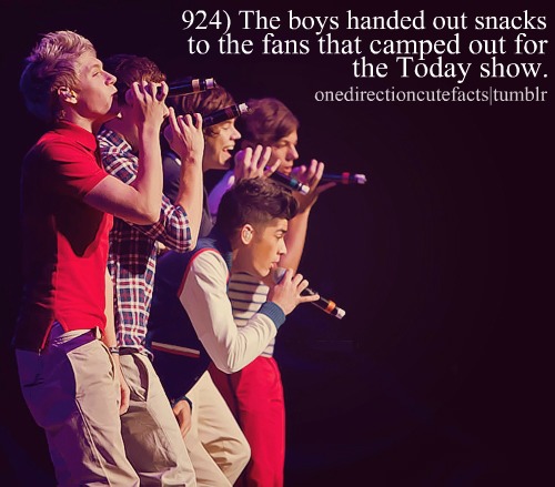 one direction facts for you ! 