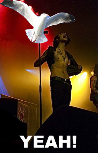 <3<3<3<3Andy & his Seagull<3<3<3