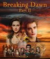 Breaking Dawn  - twilight-series photo
