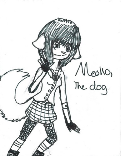  Meoko,the Dog
