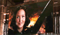 THG - the-hunger-games photo