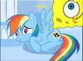 What Rainbow Dash Is Really Scared About - random photo