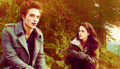 "You are the only one who has ever touched my heart It will always be yours." | ♥  - twilight-series fan art