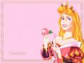 disney-princess - A Princess wallpaper