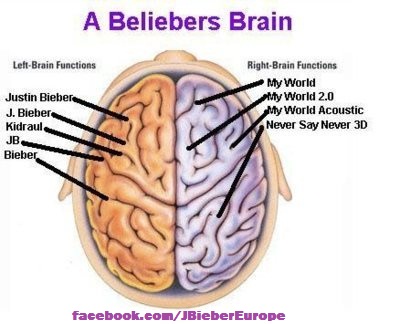Beliebers Brain