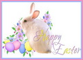 Easter - happy-easter-all-my-fans photo