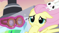 Fluttershy given Goggles