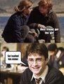 Harry Potter Pictures - harry-potter photo