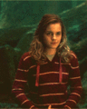 Hermione - hermione-granger photo