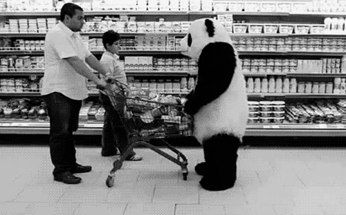  A panda knocks over shopping trolley