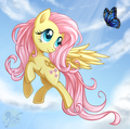 Some Pony Pictures - my-little-pony-friendship-is-magic fan art