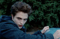 imagens Edward in Twilight - edward-cullen photo