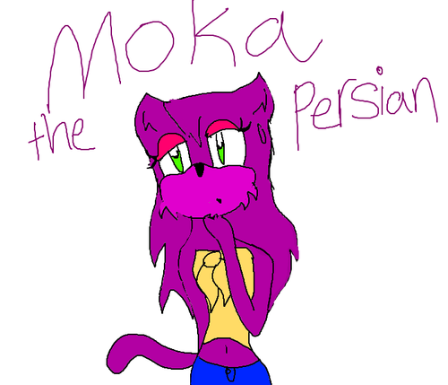 Moka the Persian