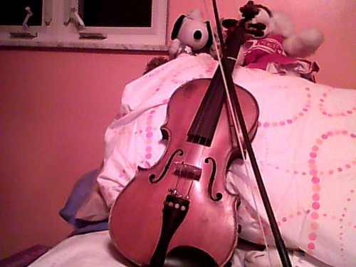  My Violin